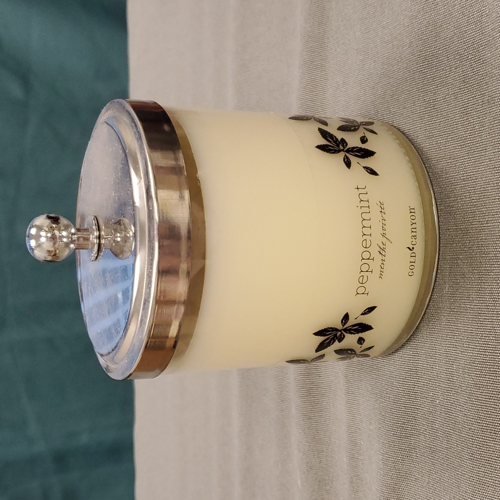 Peppermint Aromatherapy 16 oz 2 wick candle from Gold Canyon‎